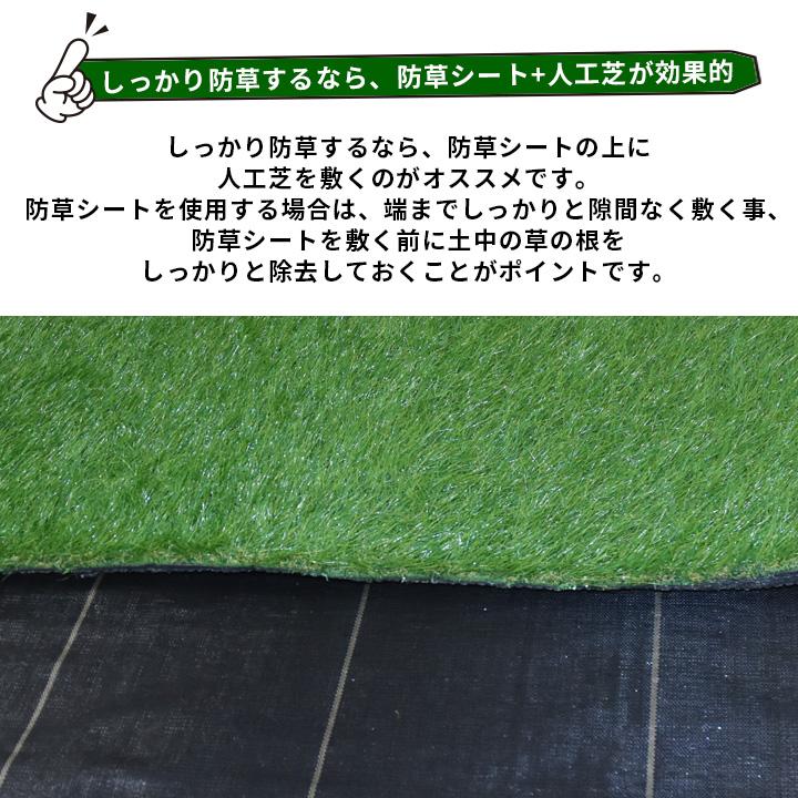 リーベ 人工芝 幅2m ロール 2m×10m 芝丈35mm 固定ピン 33本つき