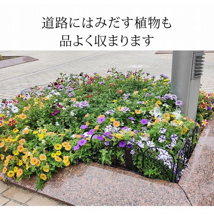 ミニ（猫） 10枚組 ブラック (NK7238-10P-BLK) ※北海道＋1500円 【キロスタイル】