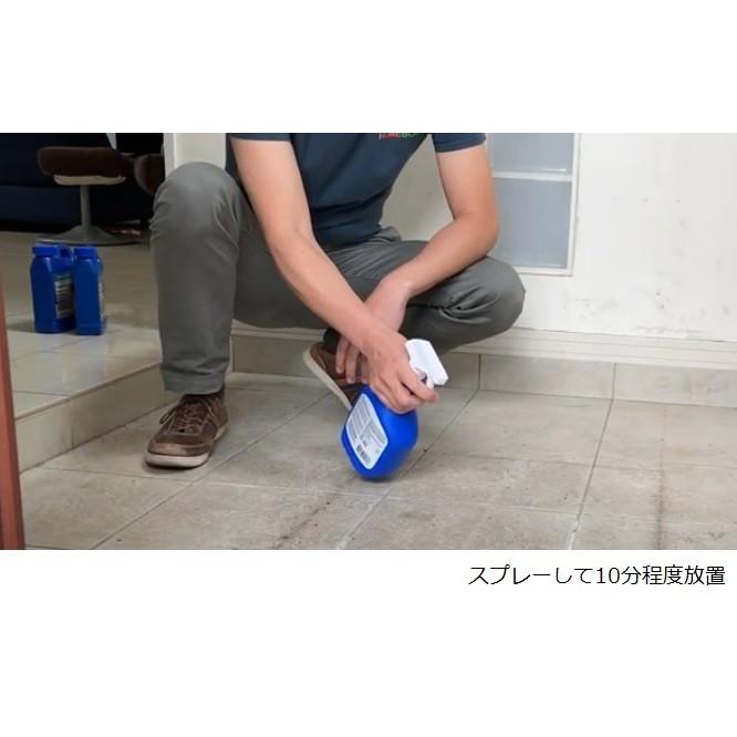 ☆大人気商品☆クリーナー MSタイル・目地・石材クリーナー スプレータイプ 水性 ミラクルシーラント 中性 946ml ラストオリウム (11027) 掃除 材料、資材 日本ミラコン産業 タイル目地の汚れとり 目地クリーン 100ml MS-101