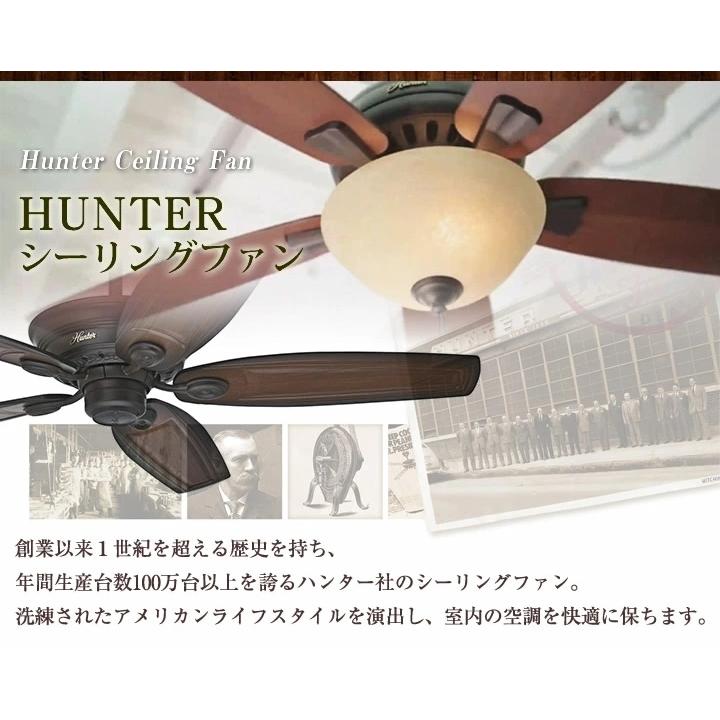 シーリングファン hunter ベイビュー プロバンスゴールド (50473+22691