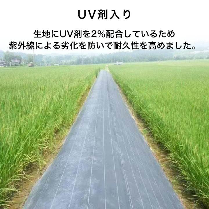 高密度防草シート 2×50m : ウッドデッキ エクステリア リーベ