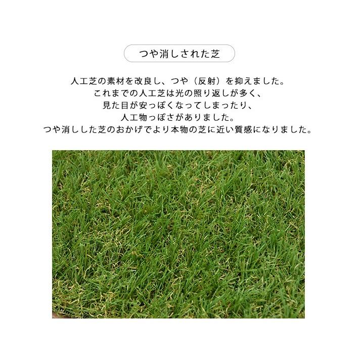 人工芝　ロール　 パークシア　 プレミアム 約1×10m 芝丈35mm 1本 楽天市場】人工芝 1m×10m ロール マット リーベ パークシア