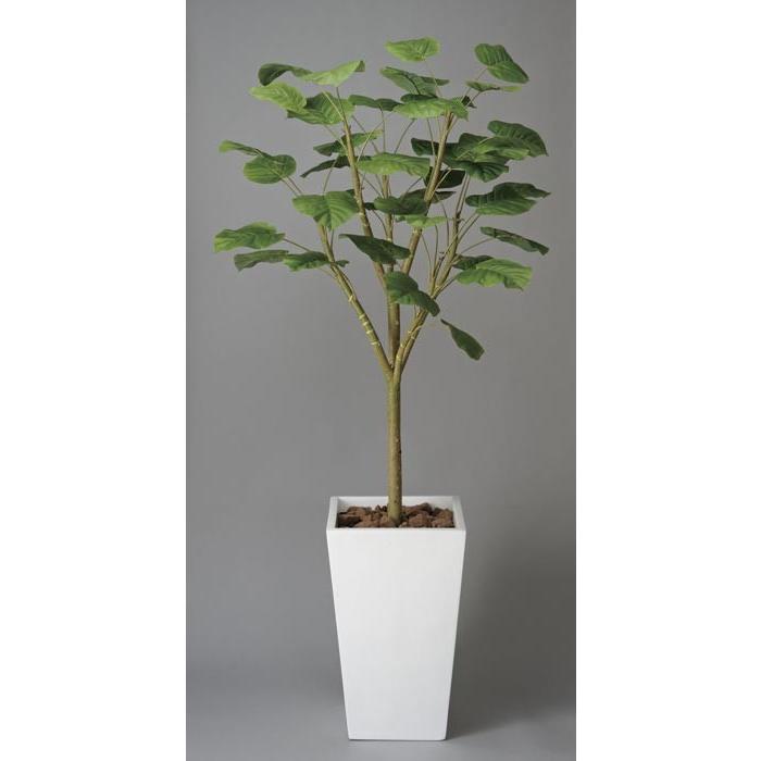 アートグリーン 人工観葉植物 光触媒 光の楽園 光触媒 ウンベラータw1 8 118g750 年版 118g750 1147こだわる通販ストア 通販