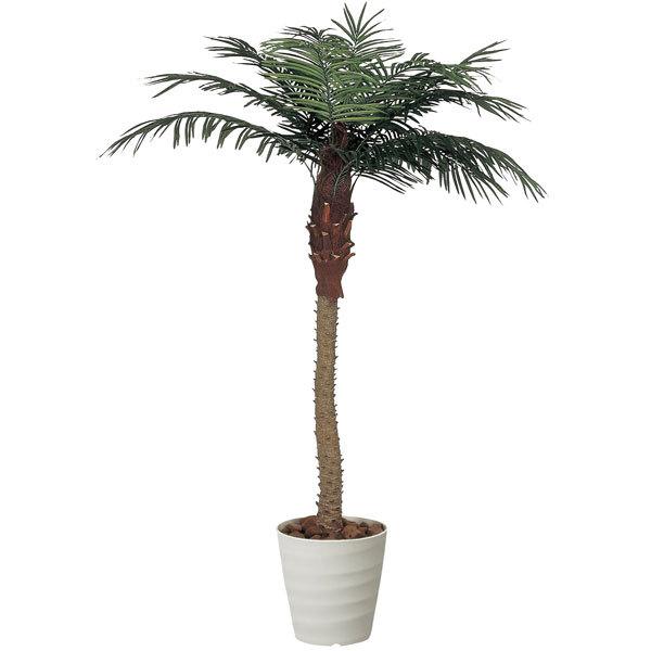 ホビー通販 アートグリーン 人工観葉植物 光触媒 光の楽園 フェニックス2 1 138h650 小売価格 Gcdp Mchsmau Ac Mw