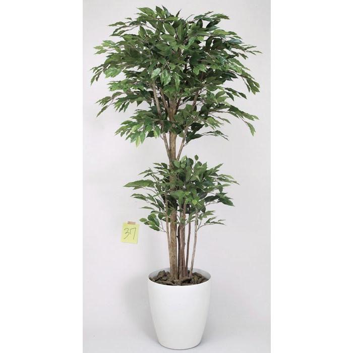 工芸緑であること フェイクグリーン 人工観葉草木 光触媒 光のエデンの園 トロピカルベンジャミン1.8 162R620 人工観葉、フェイクグリーン-花、ガーデニング