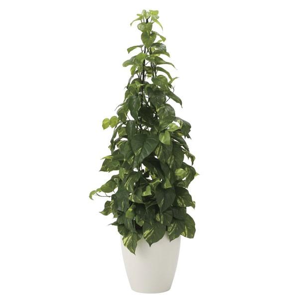 信頼 アートグリーン フェイクグリーン 人工観葉植物 光触媒 光の楽園 フレッシュポトス１ ２ 23a250 年版 1147こだわる通販ストア 通販 Paypayモール 超大特価 Www Iccostierovico Edu It