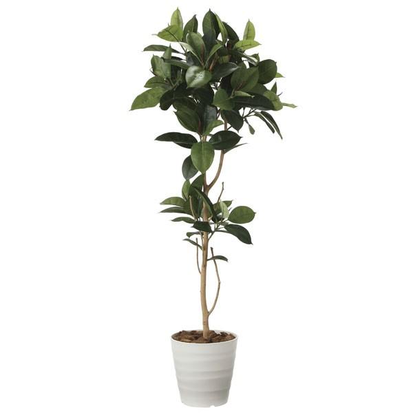 アートグリーン フェイクグリーン 人工観葉植物 光触媒 光の楽園 ゴムの木１．８ 2024P380
