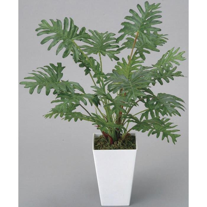 アートグリーン 人工観葉植物 光触媒 光の楽園 クッカバラ 253a35 年版 1147こだわる通販ストア 通販 Paypayモール