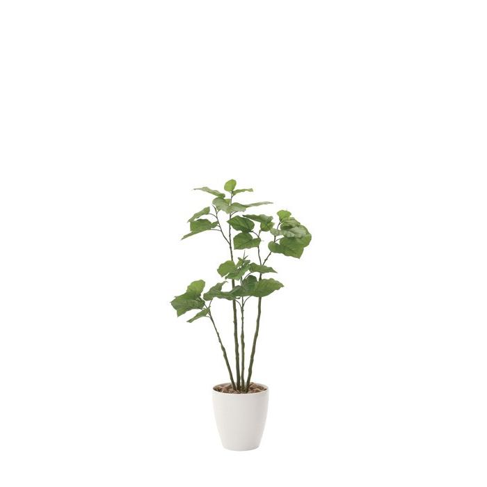 国内最安値 アートグリーン 人工観葉植物 光触媒 光の楽園 ブランチウンベラータ1 25 721a230 年版 1147こだわる通販ストア 通販 Paypayモール 最も優遇 Jeannesauve Org