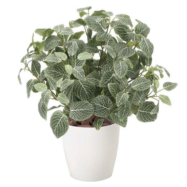 アートグリーン 人工観葉植物 光触媒 光の楽園 フィットニアM 832P100