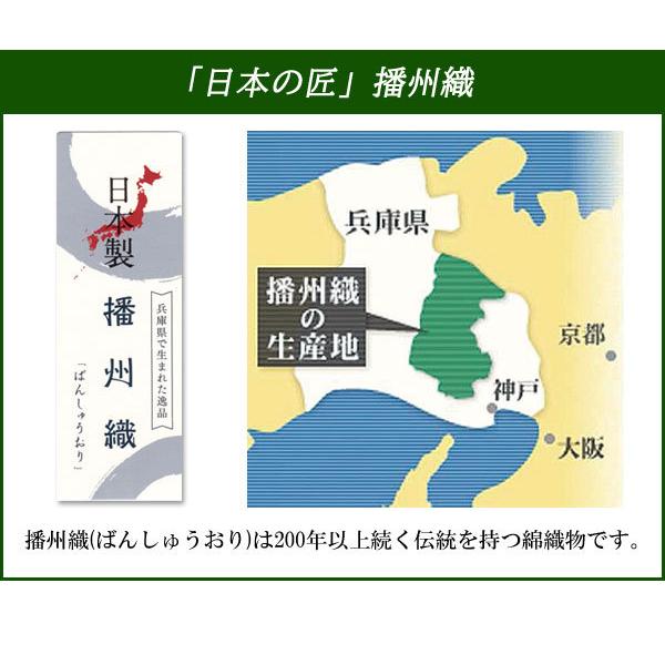 パジャマ 同サイズ2色組 播州織 日本製 格子柄柔らかビエラパジャマ 快適睡眠 秋冬 40代 50代 60代 955393_2