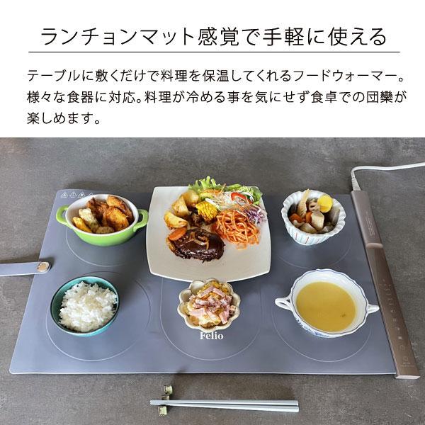 Felio（フェリオ） フードウォーマー セパレートタイプ 60度 80度 100