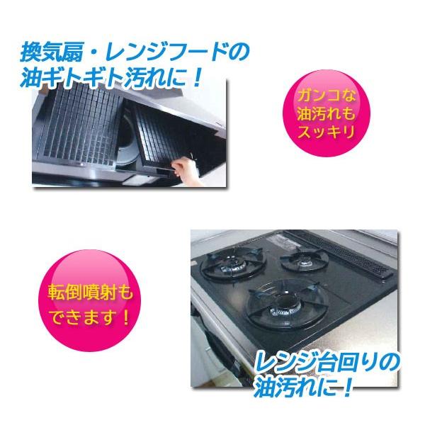 やや汚れあります。 デグリサーX 420ml×1本 強力油よごれ落とし 換気扇 ガスレンジ回り