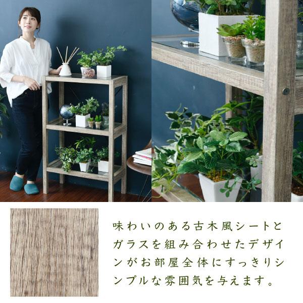 ボタニカル フラワースタンド3段 幅60.5cm ガラス シャビー ラック 古木風 インテリア 観賞植物飾り棚 FAW-0002-JKの画像