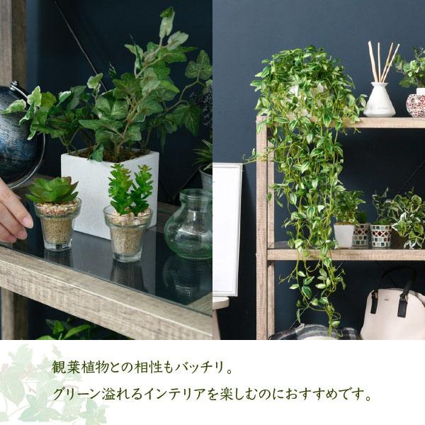 ボタニカル フラワースタンド3段 幅60.5cm ガラス シャビー ラック 古木風 インテリア 観賞植物飾り棚 FAW-0002-JKの画像
