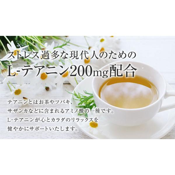 ぐっすりずむ 31粒入 快眠習慣 ストレス緩和 L-テアニン配合