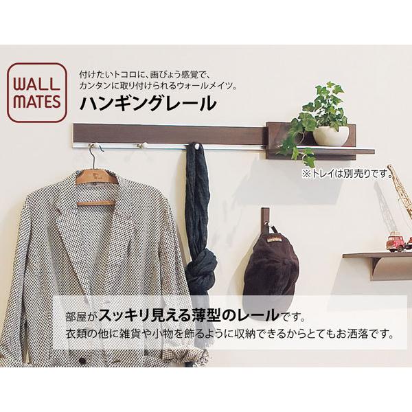 ハンギングレール 90cm 薄型レール ハンガーフック 簡単取付ウォール