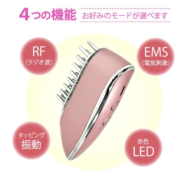 EMSリフトブラシ & アクアピーリングデバイス セット SALONIA 美顔器 ブラシ EMS リフトブラシ 3Dケア 頭皮 頭筋 ハリ
