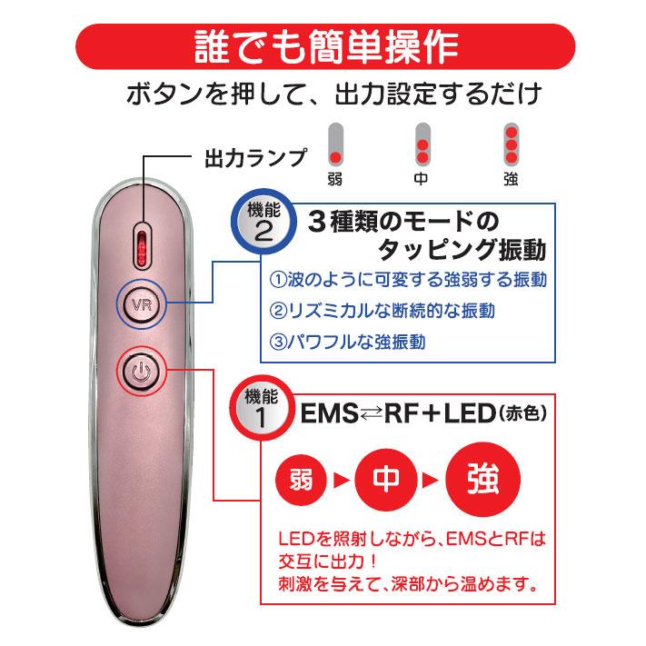 EMS＆RF リフトブラシボーテ フェイスリフトケア 頭皮ケア 全身