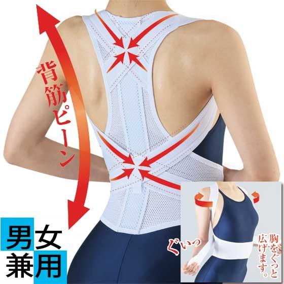 男女兼用 乗馬背筋ベルト 背筋矯正 猫背改善 肩こり対策 : 1147