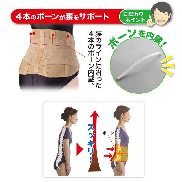 腰コルセット ワイドサポート 接骨院の先生が監修した腰コルセット