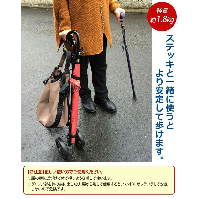 ハンドレール ステッキ Amazon | フジホーム ハンドレールステッキⅡ ブーケ [適応身長