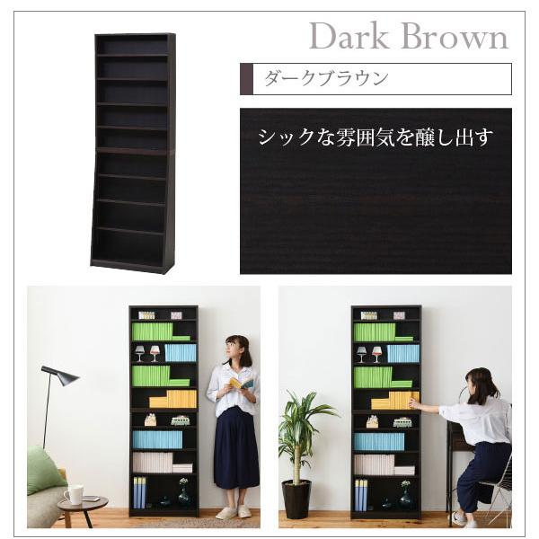 本棚 薄型 本体 幅60cm 壁面収納 収納家具 1cmピッチ 大収納ラック CD