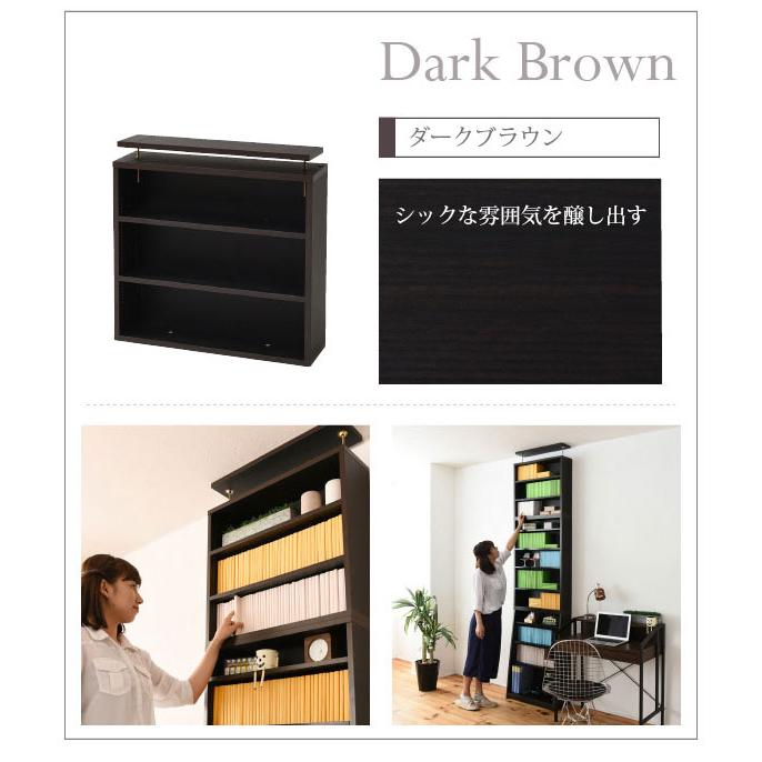 本棚 薄型 上置き 幅60cm つっぱり壁面収納 収納家具 1cmピッチ 本棚 薄型 上置き 幅60cm つっぱり壁面収納 収納家具 1cmピッチ 大収納