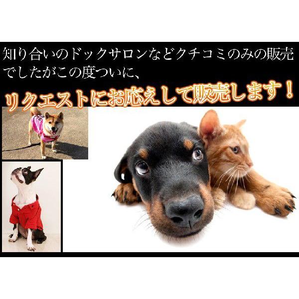 ペット 馬肉 生肉 プレミアムペット馬肉 50g×20p 1kg【dog food】|11829|02