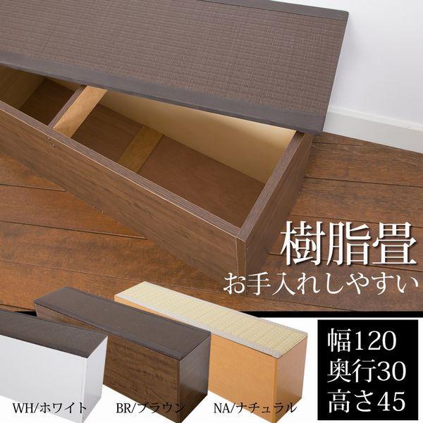 収納 小上がり 収納 収納 家具 インテリア スリム Pp畳ベンチ 畳ベンチ ベンチ ユニット 畳 幅1cm 高さ45cm Pp樹脂畳収納 畳ボックス 畳収納 ハイタイプ Pp Bnc 1