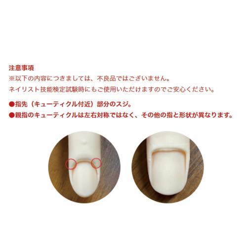 滝川（TAKIGAWA） STモデルハンド /右手（JNEC公式 第1期認定モデル