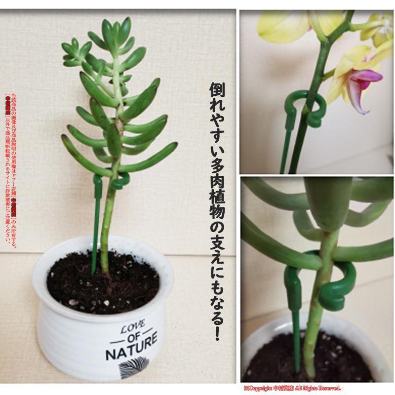 花ささえ 植物支柱 単茎種 10本セット 植物サポート 園芸支柱 蘭の花