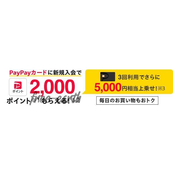 スリッポン スニーカー レディース おしゃれ 大人カジュアル 透け感 ビジュー キラキラ 歩きやすい 履きやすい 痛くない ゴールド ファッション｜11oclock｜13