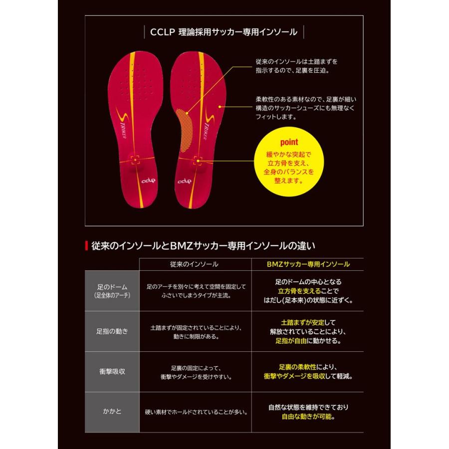 送料無料】BMZ インソール ストライカー カルパワー スマート