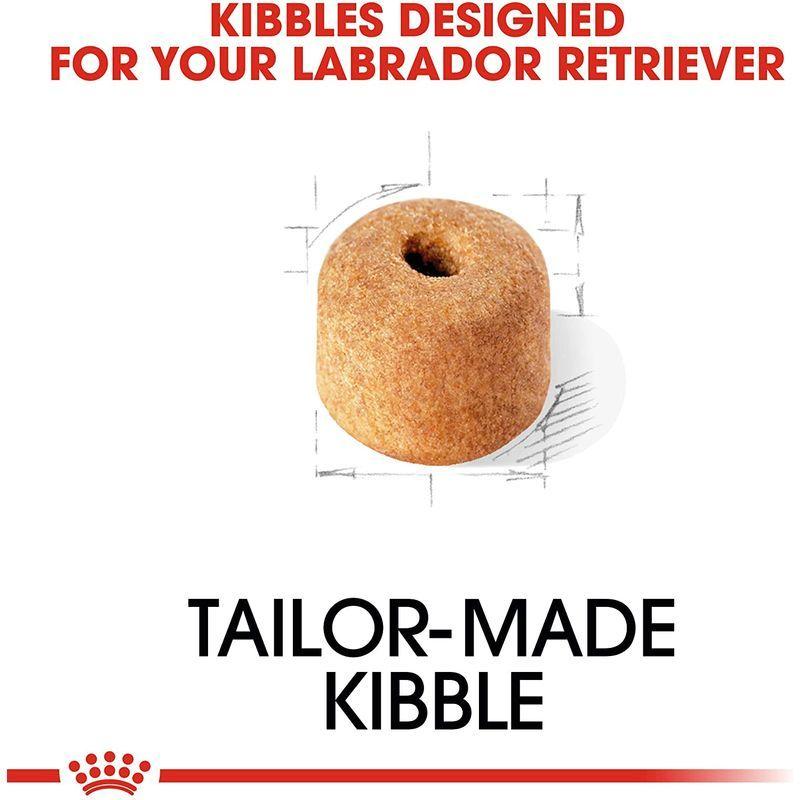 ロイヤルカナン ラブラドールレトリバー 成犬・高齢犬用 12kg     商品情報    【商品名】　ロイヤルカナン ラブラドー A1176316589(10275円)