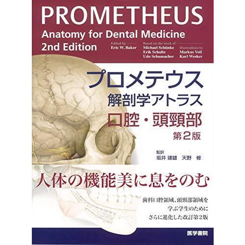 レビューで送料無料 プロメテウス解剖学アトラス 口腔 頭頸部 第2版 日本全国送料無料 Alburhan In