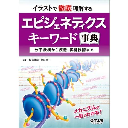 正規品 イラストで徹底理解する エピジェネティクスキーワード事典 分子機構から疾患 解析技術まで 数量限定 特売 Www Muslimaidusa Org