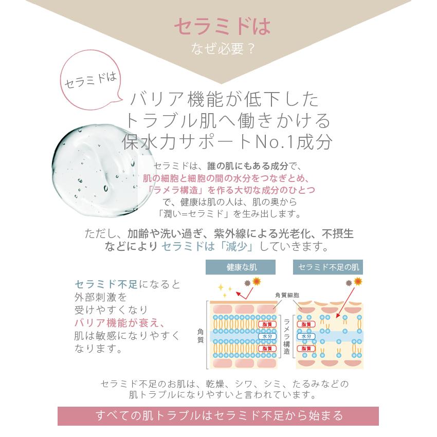 乳液 高濃度ヒト型セラミド原液５％配合 乾燥肌 敏感肌 ブースター 潤いバランスNo.1 無添加　ink. インク モイストエッセンスミルク　100mL｜129｜05