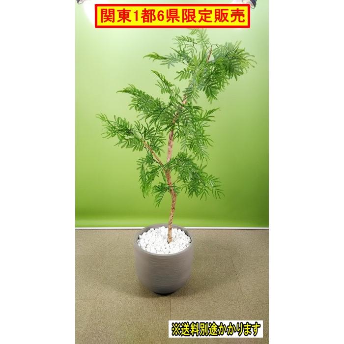 中古）人工樹木 プランター/グレー インテリア フェイクグリーン 人工