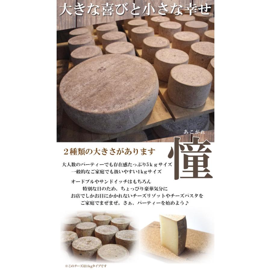 送料無料 Asukaのチーズ工房 ホールチーズ 約1kg 北海道産 ギフト トムタイプ セミハード お返し 贈り物 ラクレット ホール 北海道チーズ 内祝い ポイント10倍 Aleefsurgical Com