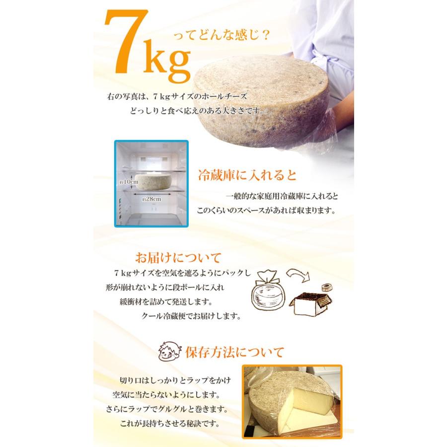 ホールチーズ 7kg Asukaのチーズ工房 チーズ 北海道 むかわ町 生産 送料無料 トム セミハード タイプ ラクレット パーティー 業務用 Fas H7000 北海道美食生活 通販 Yahoo ショッピング