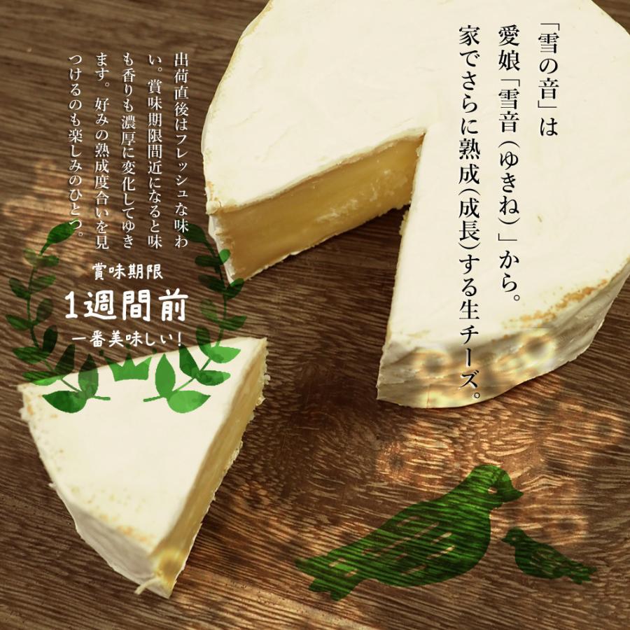 北海道 ナチュラル チーズ 厳選 5点セット むかわ町 生産 Asukaのチーズ工房 無添加 ギフト 無添加チーズ 詰め合わせ おつまみ 白カビ Fas S005 北海道美食生活 通販 Yahoo ショッピング