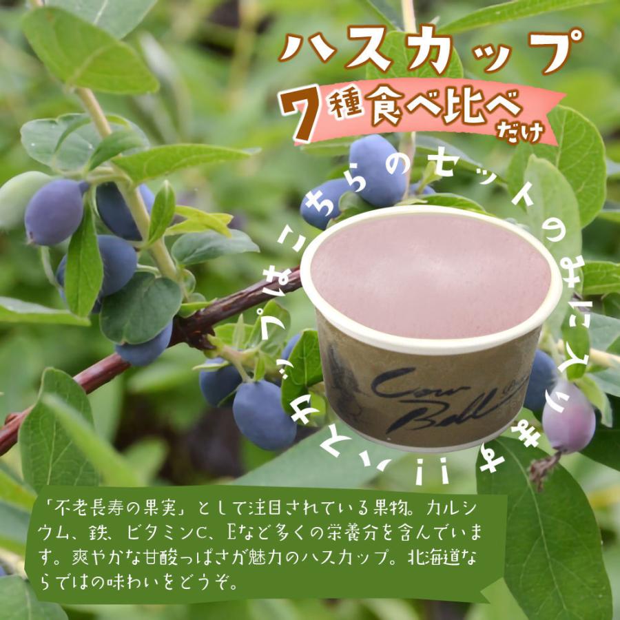 北海道 アイスクリーム ギフト カウベルアイス  7種類 80ml×8個セット 詰め合わせ バニラ 抹茶 お取り寄せ スイーツ 北海道 十勝 |  | 08