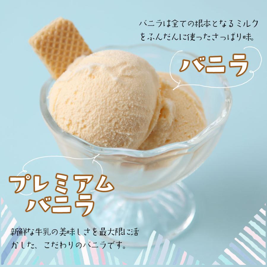 北海道 アイスクリーム ギフト カウベルアイス  12種類 80ml×21個 詰め合わせ メロン チョコ ストロベリー お取り寄せ スイーツ 十勝 |  | 05