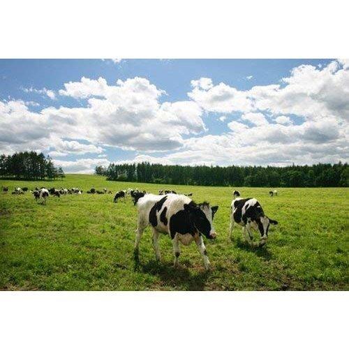 ふらのバターセット 70g×3 送料無料 北海道 富良野チーズ工房 ふらの FURANO ギフト |  | 03