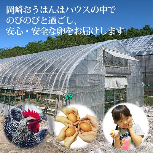平飼い卵 44個(+4個保証分)計48個 ななエッグ 北海道七飯町産 平飼い卵 44個(+4個保証分)計48個 ななエッグ 北海道七飯町産