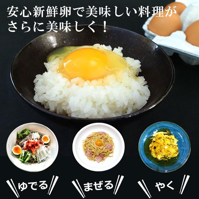 平飼い卵 44個(+4個保証分)計48個 ななエッグ 北海道七飯町産 平飼い卵 44個(+4個保証分)計48個 ななエッグ 北海道七飯町産