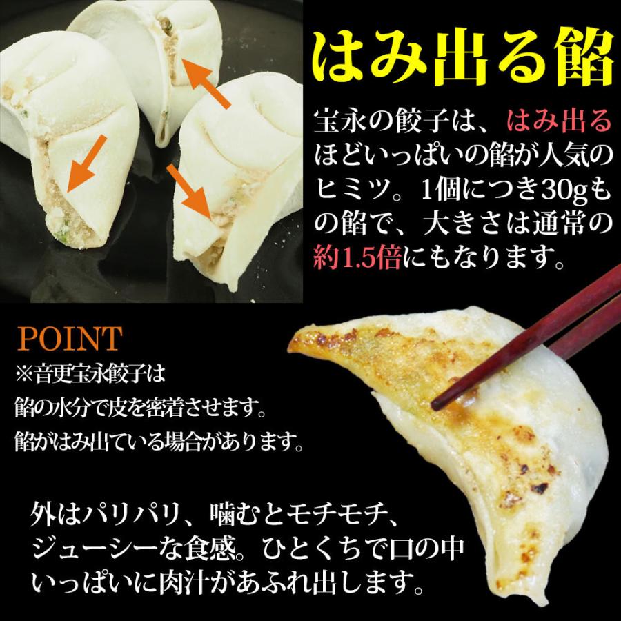 餃子 楽天市場】【ふるさと納税】23-5【定期便3回】玉ちゃん餃子8人前