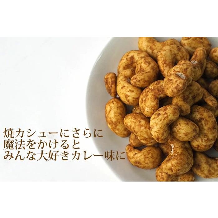 カレーカシュー 95g×2個 北海道 池田食品 カシューナッツ おつまみ 豆