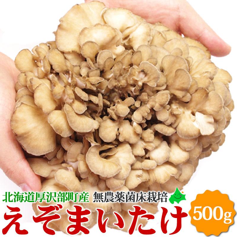 舞茸 えぞまいたけ 500g（1株）蝦夷舞茸 無農薬 北海道産 厚沢部町